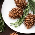DIY Edible Almond Pinecones for the Etsy Blog!