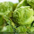 Brussels Sprouts Almondine