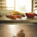 The Three Bears Superfood Porridge