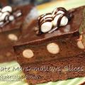 Chocolate Marshmallow Slice