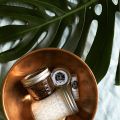 Folk Potions for the Holidays