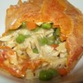 Chicken Pot Pie Dumplings