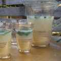 Home Made Velvet Ginger Lemonade Recipe