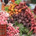 Upcoming Events, Food Swaps, and the new Food[...]