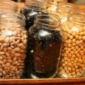 Pressure Canned Beans