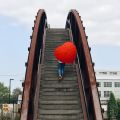 This Week:  Finding Inspiration