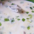 Oyster Stew