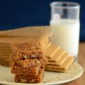 Graham Cracker Blondies
