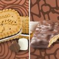 Girl Scouts Add S’Mores to 2017 Cookie Lineup