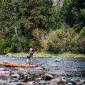 The Beginnings of a Novice Fly Fisher in[...]