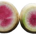 Plum Salad